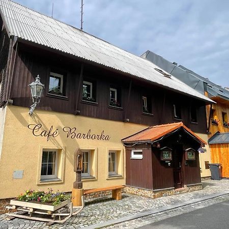 Pension Barborka Bozi Dar Exterior photo